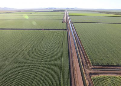 Bothkamp Farm Drone Photo of crops